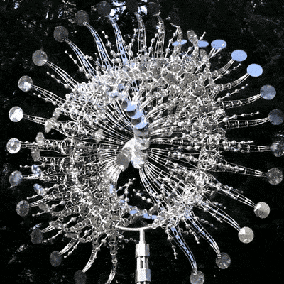 f8163a8bb6814481b5a86effa889486f.Gif