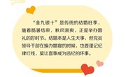 漫画说纪丨说说婚宴操办得遵守哪些纪律
