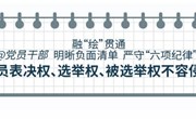 融“绘”贯通丨党员表决权、选举权、被选举权不容侵犯
