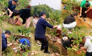 宋云巍以普通党员身份参加“绿美番职”党员植绿护绿主题党日活动