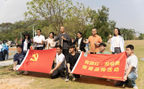 植绿护绿践初心，共建美丽新校园