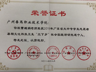 省级三下乡先进个人曹继娟