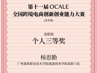 2025年全国跨境电商创新创业能力大赛杨思勤荣获个人三等奖