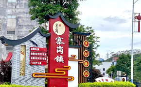 艺术学院：大学生“百千万工程”突击队 赴连南县寨岗镇调研