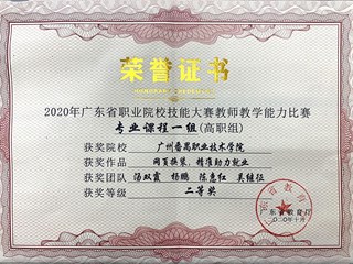 2020年广东省职业院校技能大赛教学能力比赛（高职组）二等奖-网页换装，精准助力就业