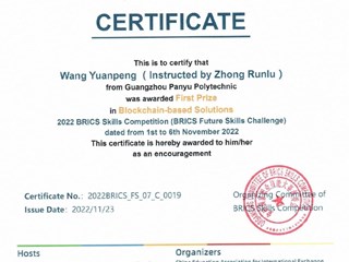 金砖国家技能大赛-国赛一等奖-王苑鹏