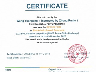 金砖国家技能大赛-国际赛铜奖-王苑鹏