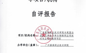 2025年物联网应用技术中外合作办学项目自评报告
