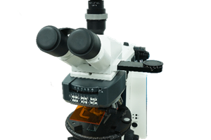 偏光显微镜（Polarizing Microscope）