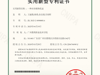 一种水培植物花盆-实用新型专利证书